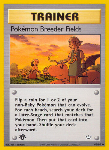 pokemon-breeder-fields-neo-revelation-62